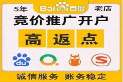 社交平台信息流竞价广告的投放策略与效果