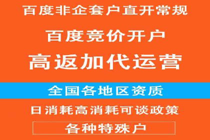 探索百度竞价托管外包的奥秘：成功企业的背后故事